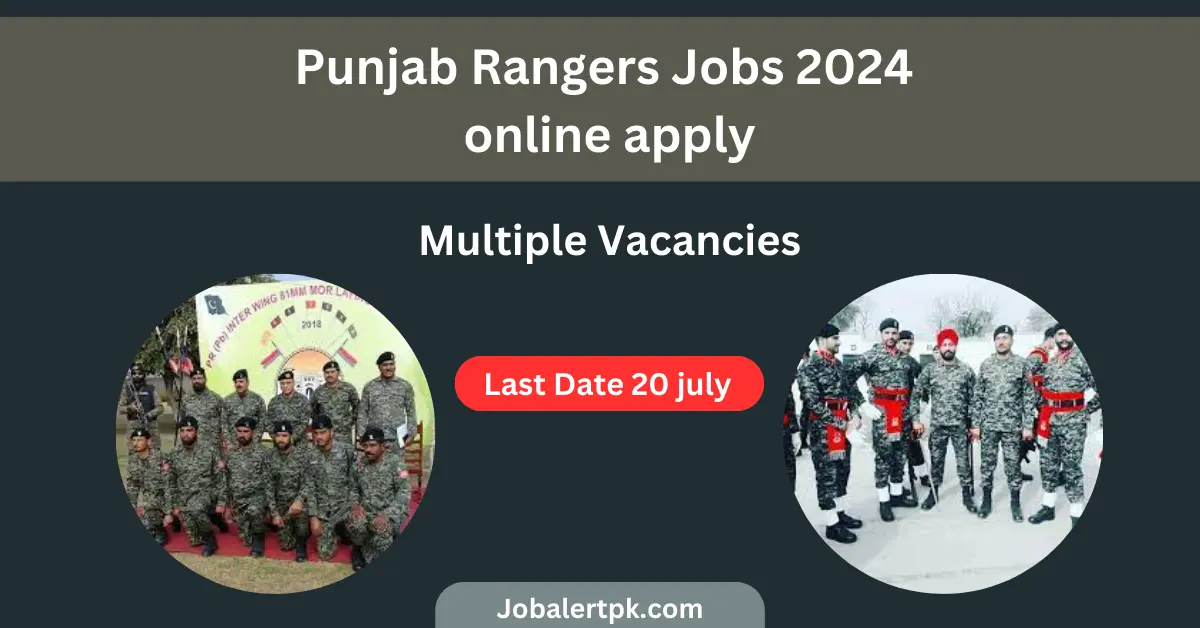 punjab rangers jobs 2024 online apply