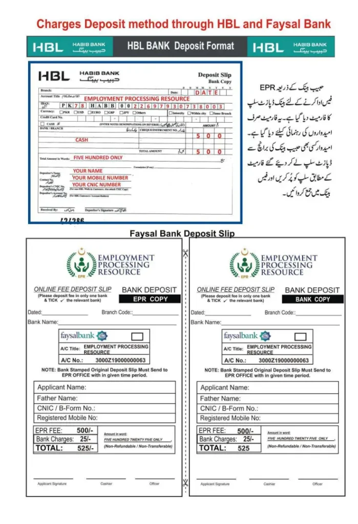 Kpk govt jobs challan form KP Employment Support Program 2024